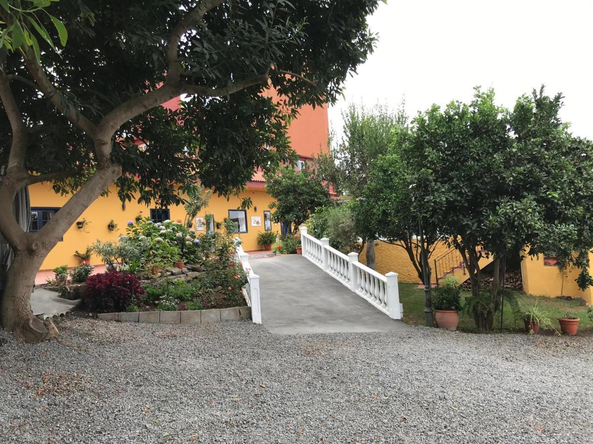 Max Chasma Aparthotel La Orotava Buitenkant foto